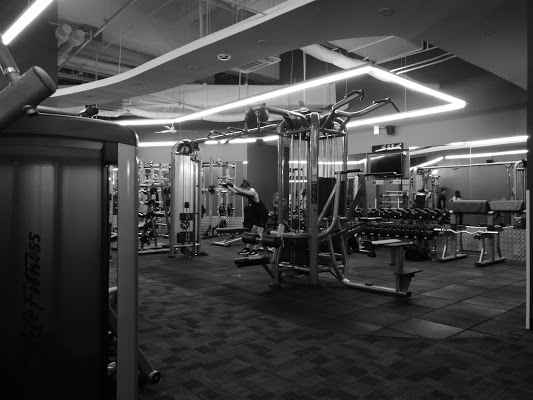 anytime-fitness-newport-city